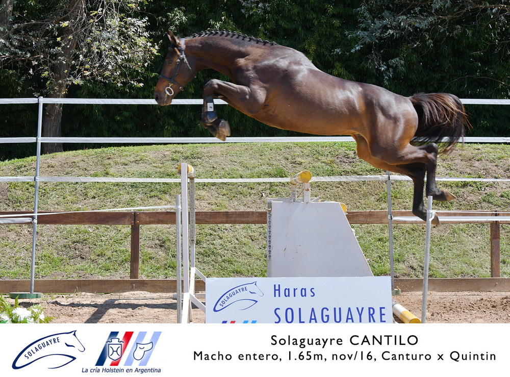 SOLAGUAYRE CANTILO